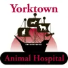 Yorktown Animal Hospital