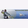 Orlando Fishing Trips