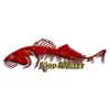 Kidd Mullet Charters