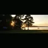 Camp Willow Run