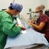 Justin Bartlett Animal Hospital