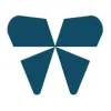 Wilkinson Dental
