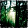 Soul Nature Healing Arts
