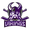 Stoughton Hockey Association