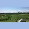 South Salem Winery