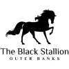 The Black Stallion