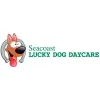 Lucky Dog Daycare