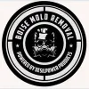 Boise Mold Removal