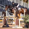 Wheatland Equine
