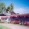 Galletta's Greenhouse