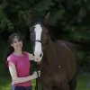Holistic Horse Bodyworks