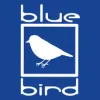 Blue Bird Carpet & Janitorial