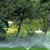 Christian Irrigation