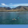 Zack Howard Surf