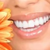 Great Hollywood Smiles