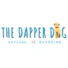 Dapper Dog