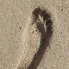 Comprehensive Podiatry
