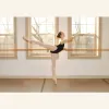 Ballet Arts Centre