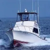 Osprey Fishing Charters