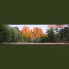 Red Rock Transportation