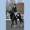 Urbana Riding Club