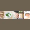 Point Acupuncture & Asian Medicine