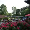 Suburban Brewing
