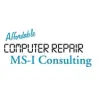 MS-I Consulting