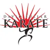 David Fuller Karate