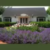 The Salon & Day Spa at Amagansett Square