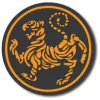 Tiger Custom Computers