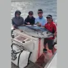 Pelican Sportfishing