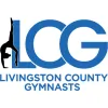 Livingston County Gymnasts