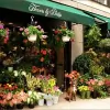 Flowers by Philip