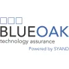 Blue Oak Technology Solutions