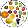Michele Jacobson Nutrition