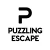 Puzzling Escape