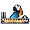 Guacamaya Painting