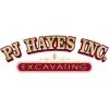P J Hayes