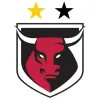 Honolulu Bulls Soccer Club