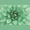 Christina Wallace Acupuncture