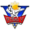 Flying V Martial Arts