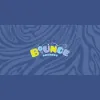 Bounce Roanoke