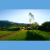 Ojai Herbs & Acupuncture