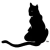 The Cat Doctor Of Dover