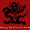 Kung Fu Connection