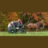 Stone Hill Veterinary Clinic