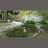 Automatic Sprinkler Service