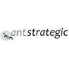 Ant Strategic