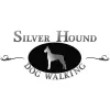 Silver Hound Dog Walking